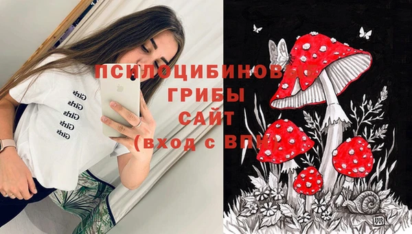 прущий лед Карпинск
