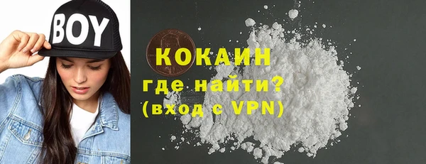 прущие грибы Карталы