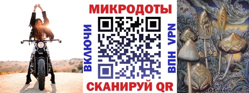 Купить  Сысерть  Галлюциногенные грибы MAGIC MUSHROOMS 